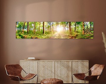 Sunrise in spring - bright forest panorama in the light of the morning sun