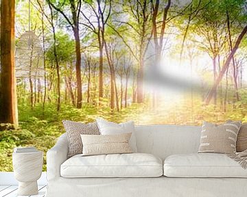 Sunrise in spring - bright forest panorama in the light of the morning sun by Günter Albers