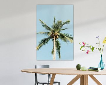Palmboom in Mexico - Strand - Zon - Stille Oceaan van Franci Leoncio
