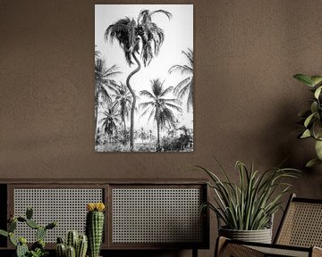 Palm trees in Mexico - Vacation - Caribbean by Franci Leoncio