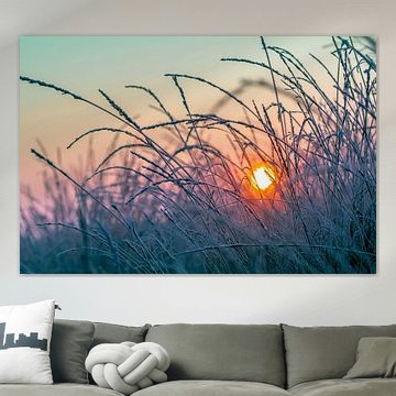 Lever de soleil d'hiver