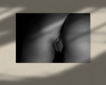 Künstlerische Akt einer Vagina in Low Key Schwarz und Weiß von Art By Dominic