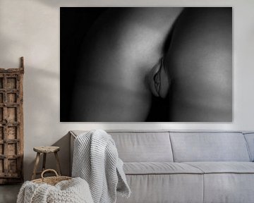 Artistiek Naakt van een Vagina in Low Key Zwart Wit van Art By Dominic