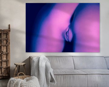 Künstlerischer Akt einer Vagina in Split Tone Rosa Blau von Art By Dominic
