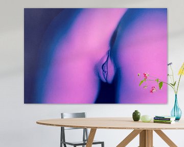 Artistiek Naakt van een Vagina in Split Tone Roze Blauw