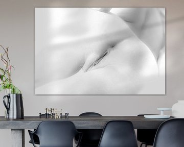 Artistic Nude of a Woman's Buttocks in High Key by Art By Dominic