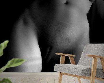 Artistic Nude of a Woman in Black and White by Art By Dominic