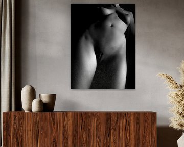 Artistiek Naakt van een vrouw in Zwart Wit van Art By Dominic