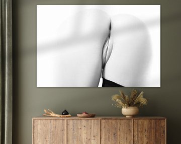 Artistiek Naakt van Billen en een Vagina in Zwart Wit van Art By Dominic
