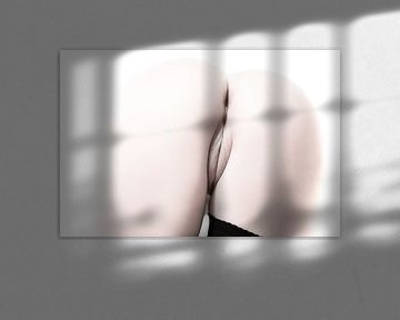 Künstlerischer Akt des Gesäßes und einer Vagina in Farbe von Art By Dominic