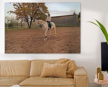 Training met het witte paard op een rijbak in de herfst van Babetts Bildergalerie