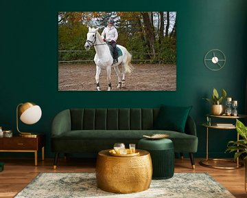 Training mit dem weißen Pferd auf einem Reitplatz im Herbst von Babetts Bildergalerie