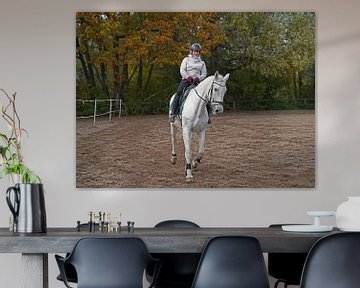 Training mit dem weißen Pferd auf einem Reitplatz im Herbst