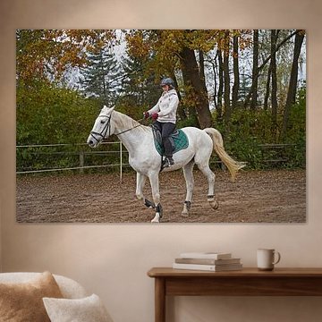 Training mit dem weißen Pferd auf einem Reitplatz im Herbst