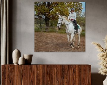 Training mit dem weißen Pferd auf einem Reitplatz im Herbst