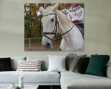 Training met het witte paard op een rijbak in de herfst