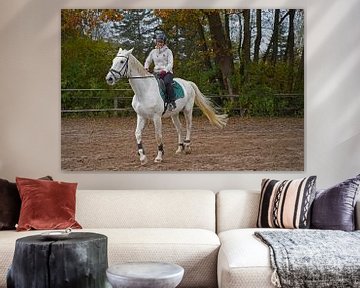 Entraînement avec le cheval blanc sur un manège en automne