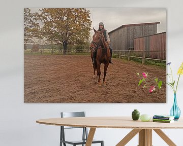 Training mit der rotbraunen Oldenburger Stute auf einem Reitplatz