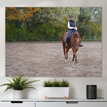 Training mit der rotbraunen Oldenburger Stute auf einem Reitplatz
