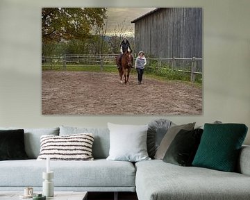 Training mit der rotbraunen Oldenburger Stute auf einem Reitplatz