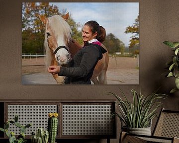 Préparation d'un Haflinger marron clair à la crinière beige avant l'entraînement