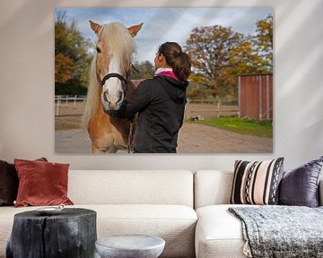 Préparation d'un Haflinger marron clair à la crinière beige avant l'entraînement