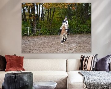 Training met de lichtbruine Haflinger met beige manen