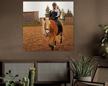 Training mit dem hellbraunen Haflinger mit beigefarbener Mähne