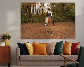 Training mit dem hellbraunen Haflinger mit beigefarbener Mähne