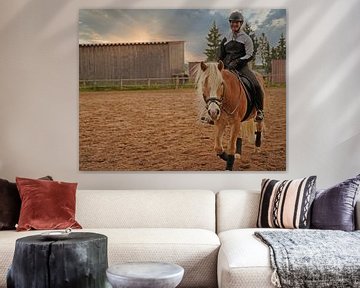 Training mit dem hellbraunen Haflinger mit beigefarbener Mähne