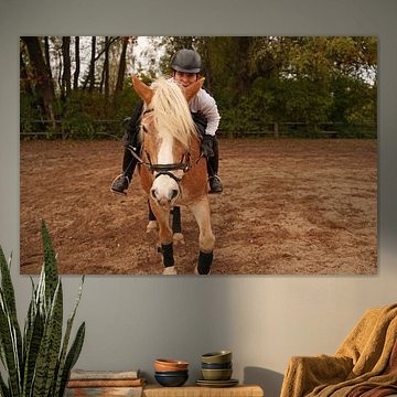 Training mit dem hellbraunen Haflinger mit beigefarbener Mähne