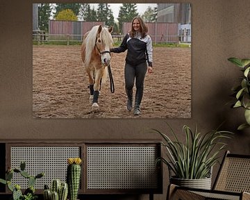 Training mit dem hellbraunen Haflinger mit beigefarbener Mähne