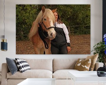 Fotoshoot met lichtbruine Haflinger met beige manen