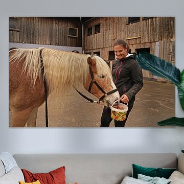 Fotoshooting mit hellbraunem Haflinger mit beiger Mähne