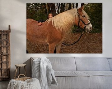 Photoshooting avec un Haflinger marron clair à la crinière beige