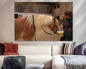 Photoshooting avec un Haflinger marron clair à la crinière beige