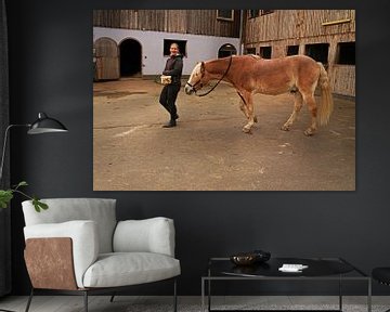 Fotoshoot met lichtbruine Haflinger met beige manen van Babetts Bildergalerie