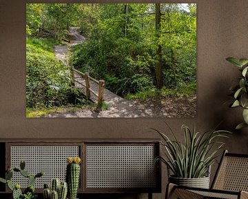 Le petit pont à travers la forêt. sur Els Oomis