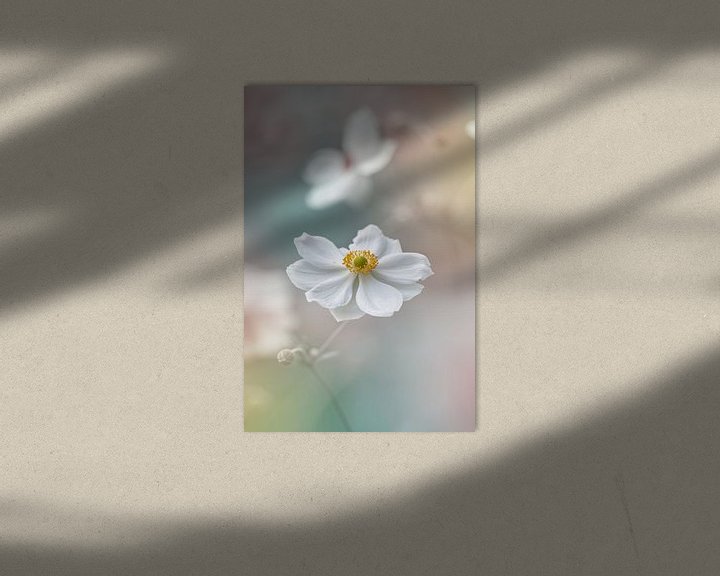 Sfeerimpressie: Dromige bloem in kleur van Kyle van Bavel
