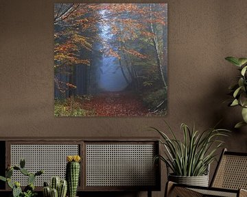 Waldspaziergang in den Vogesen, Herbst in Frankreich von Imladris Images