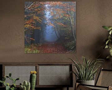 Boswandeling Vogezen, Herfst in Frankrijk van Imladris Images