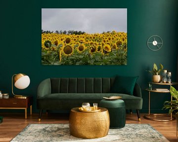 Sonnenblumen von Matthijs Peeperkorn