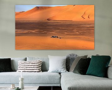 In the Sahara by Roland Brack