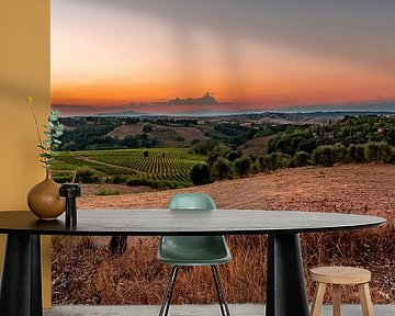 Tuscan sunset with cat in the foreground. by Dafne Vos