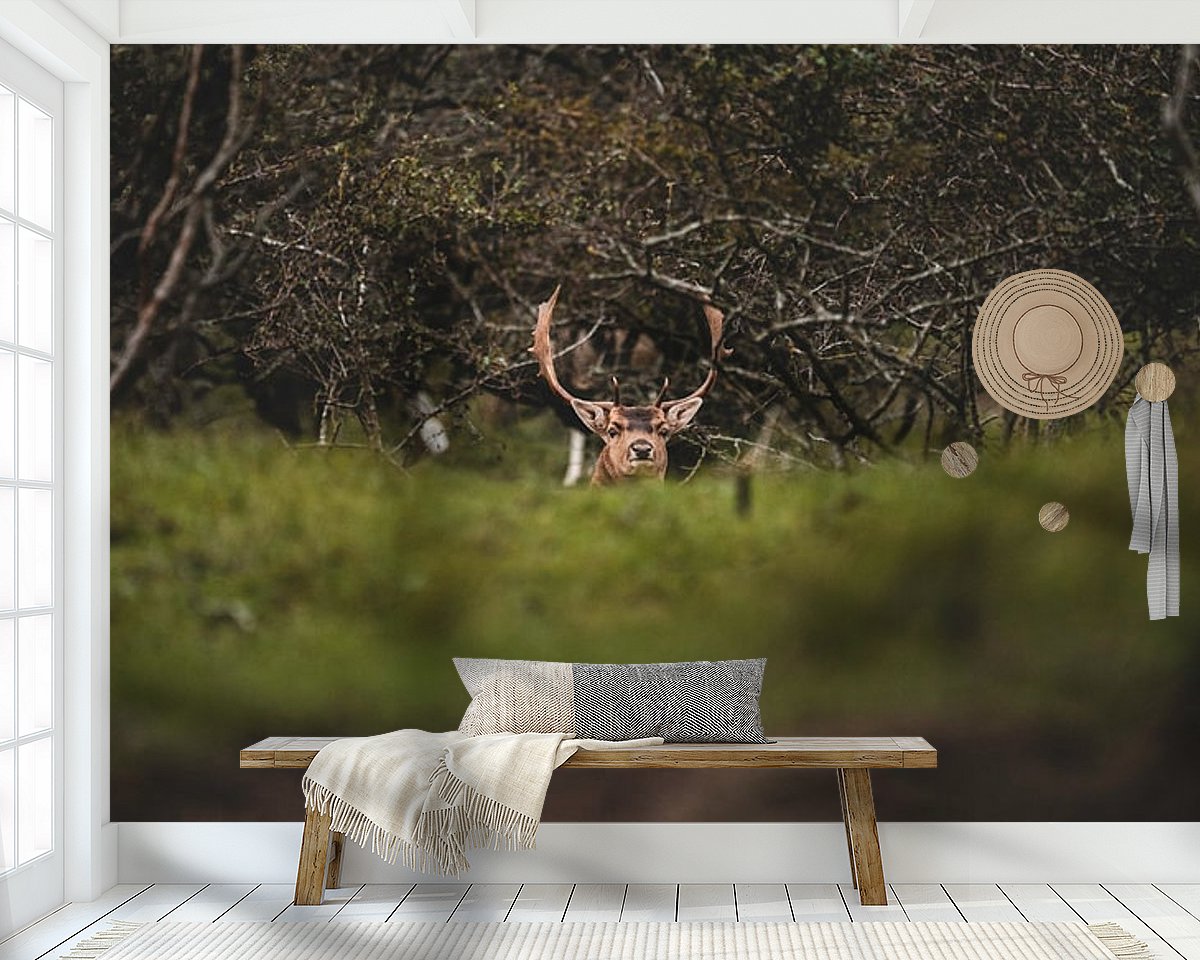 Raumvorschau