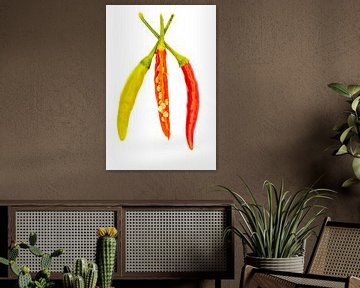 Fresh chillies with white background by Dafne Vos
