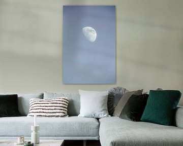 The Moon by The Wild Scribe Prints