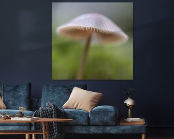 macro foto van een beige paddenstoel met mooie bokeh van Margreet Riedstra