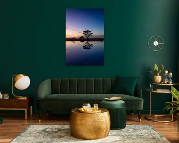 Arbre avec reflet dans l'eau sur KB Design & Photography (Karen Brouwer)