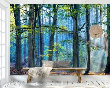 Het betoverde bos  van Lars van de Goor
